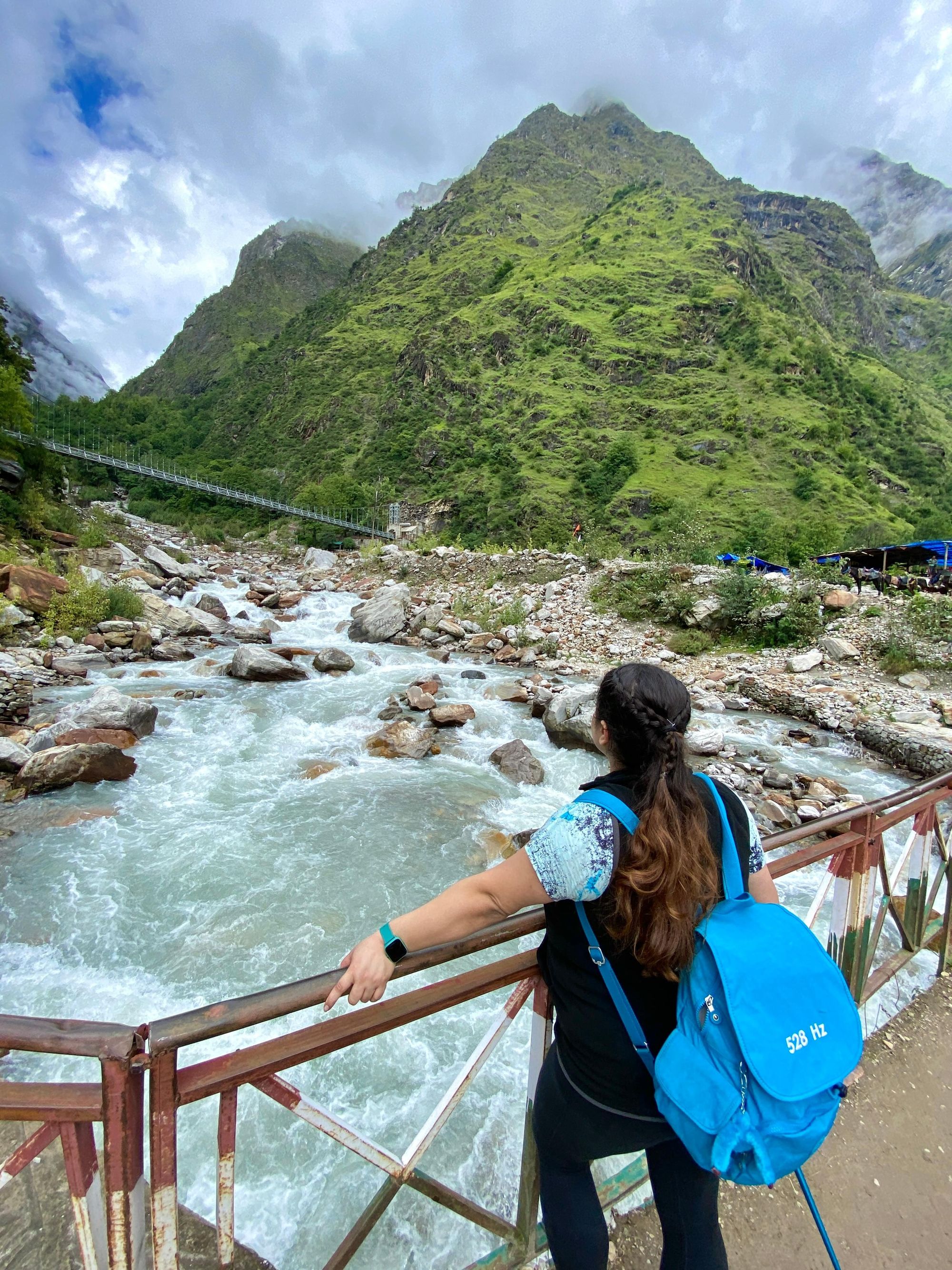 Experiences Inspiring Art- Yoshita’s Travel Story of Valley of Flowers