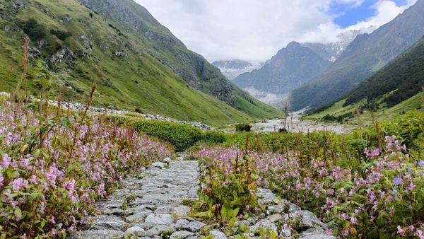 Strangers, Stories and Wildflowers: Mayukh’s Valley of Flowers Trek Review with Thrillophilia